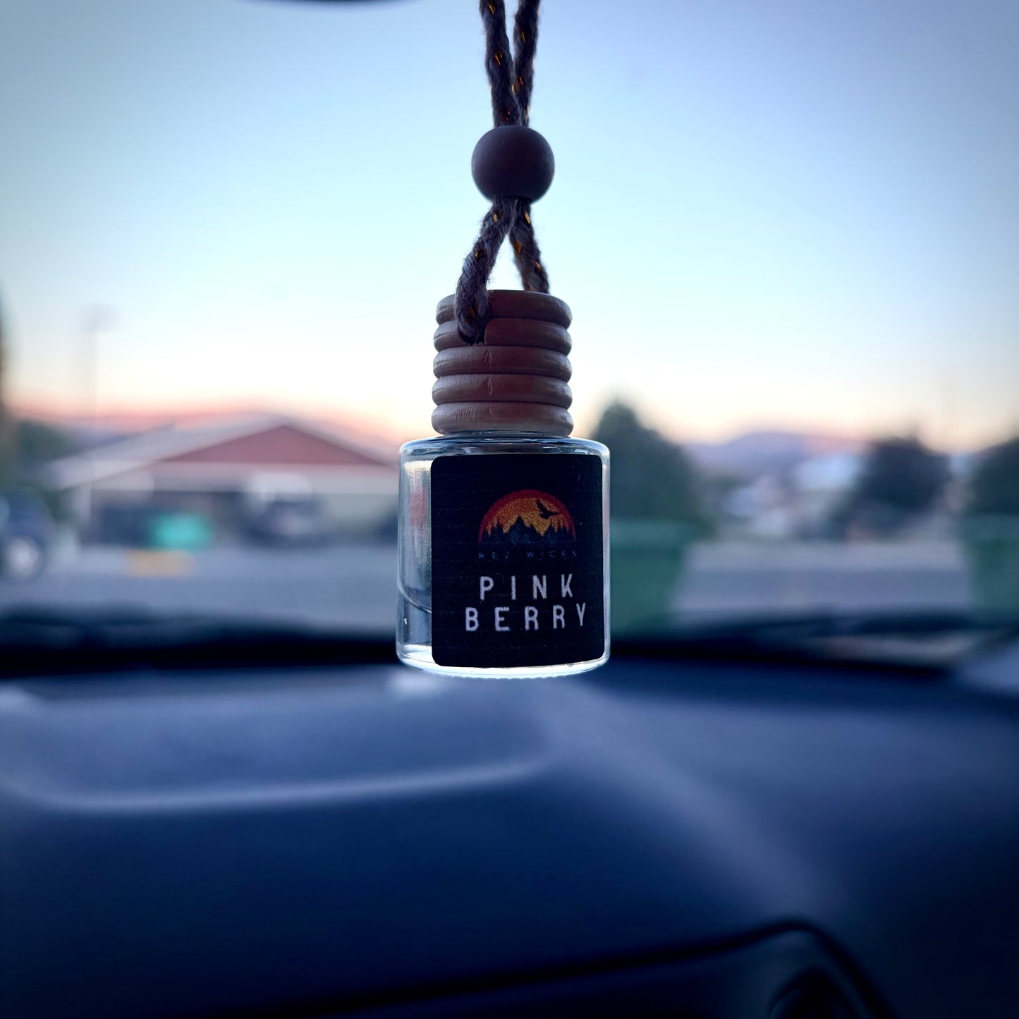 Hanging Car Diffusers